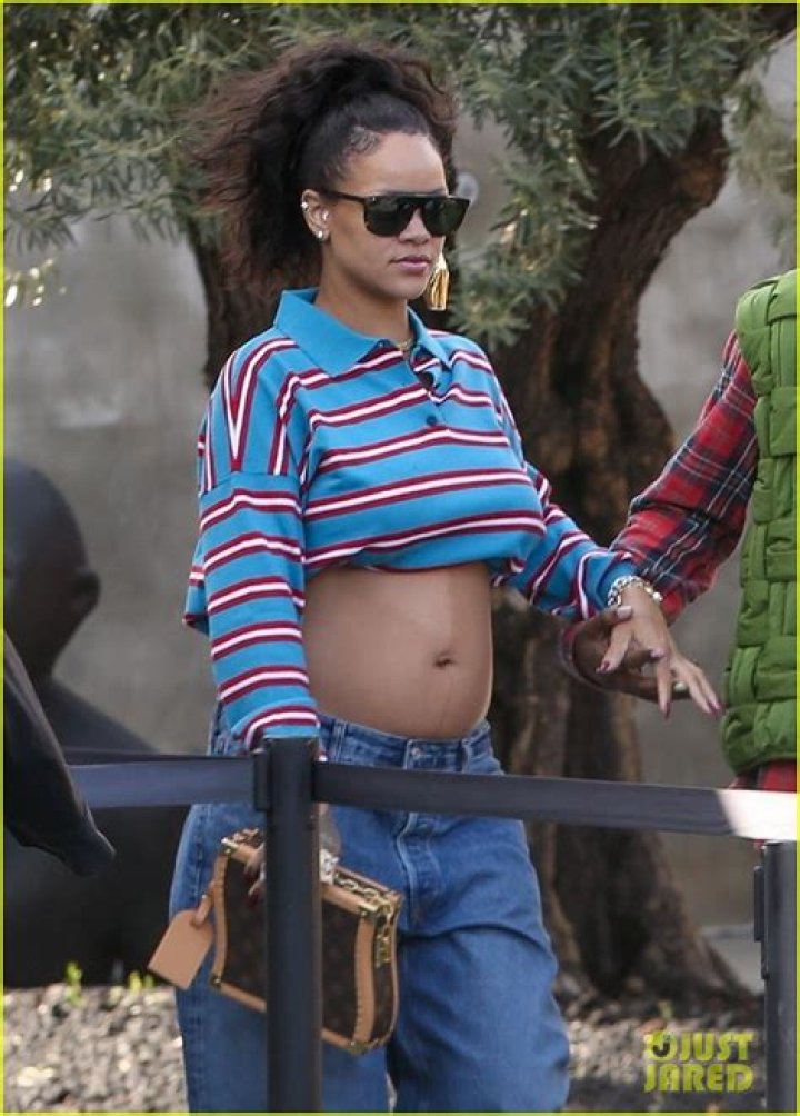 Rihanna Displays Bare Baby Bump In Tiny Snakeskin Crop Top After Returning From PFW